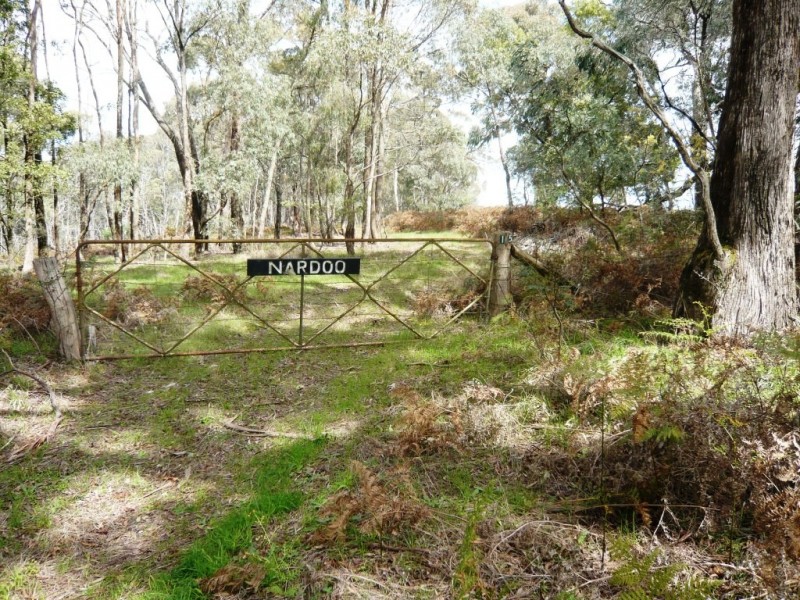 195 Red HIll Road, Raglan VIC 3373