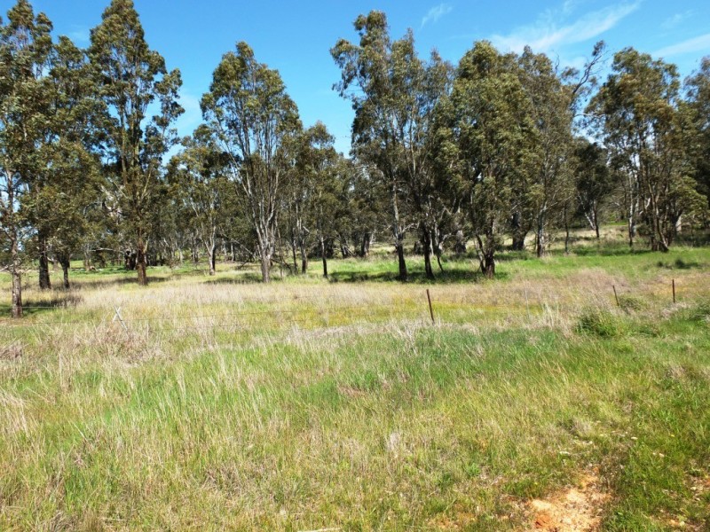 CA 150A T Driscolls Road, Barkly VIC 3384