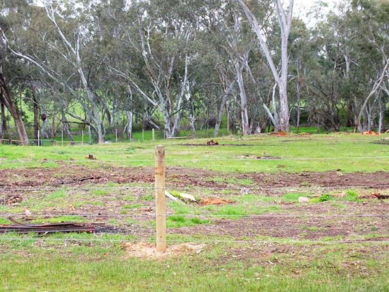 38 Napier Street, Avoca VIC 3467