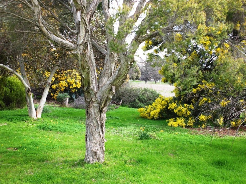 6119 Stawell-Avoca Road, Moonambel VIC 3478