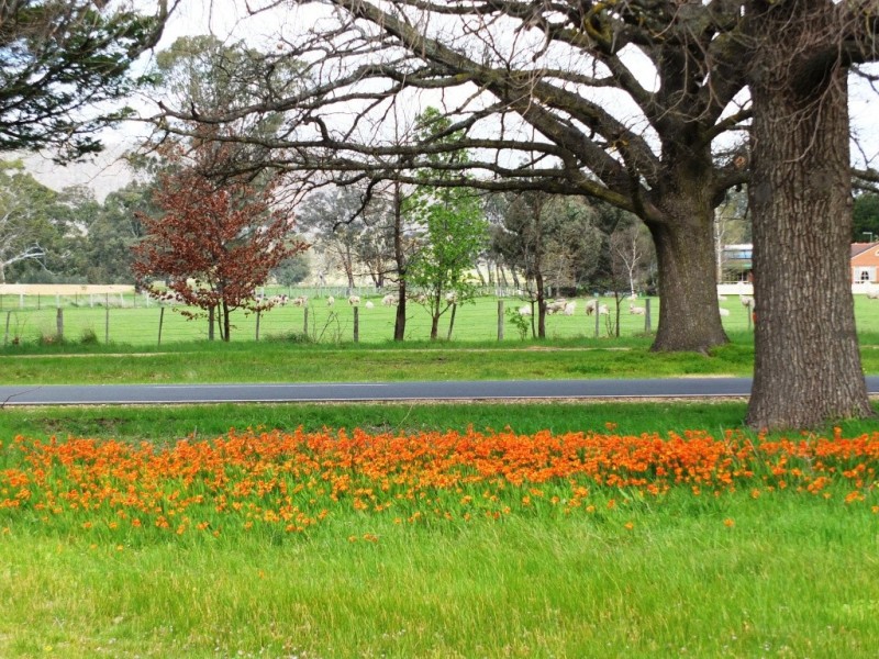 6119 Stawell-Avoca Road, Moonambel VIC 3478