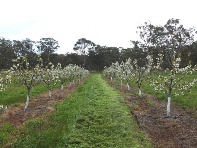 135 Peacock Track, Lillicur VIC 3371