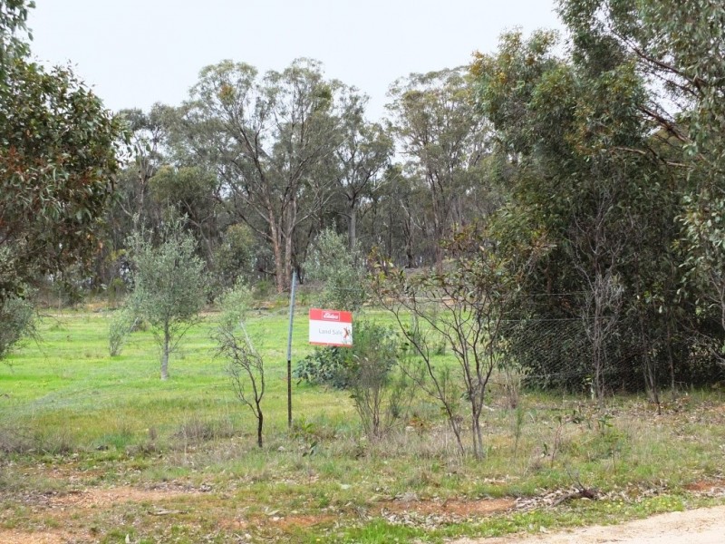 41 Lead Lane, Avoca VIC 3467