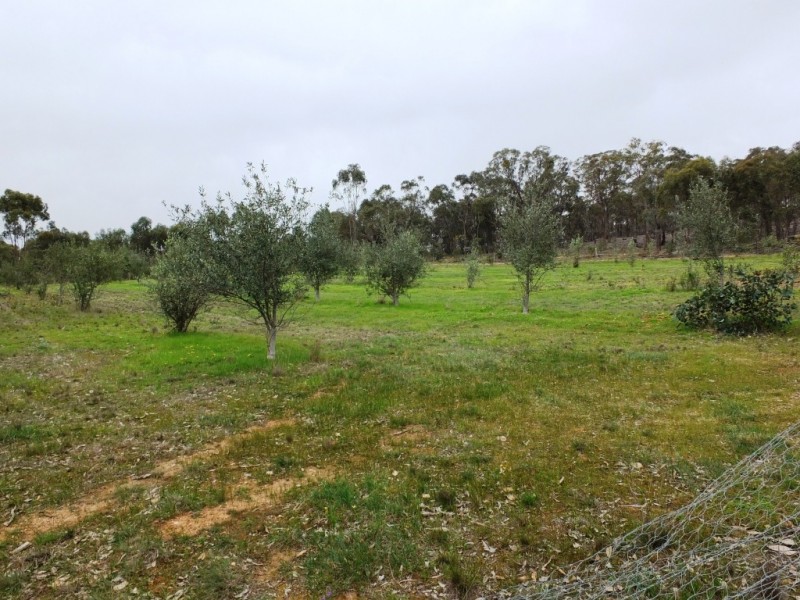 41 Lead Lane, Avoca VIC 3467