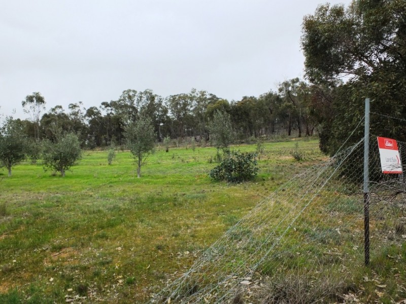 41 Lead Lane, Avoca VIC 3467