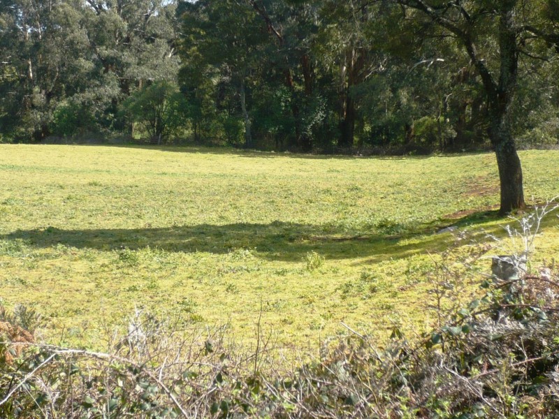 0 Main Road, Blakeville VIC 3342