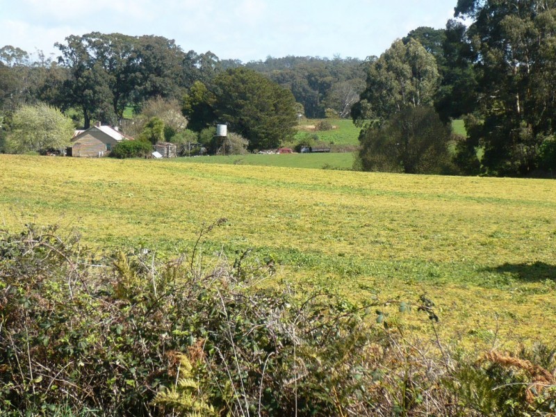 0 Main Road, Blakeville VIC 3342