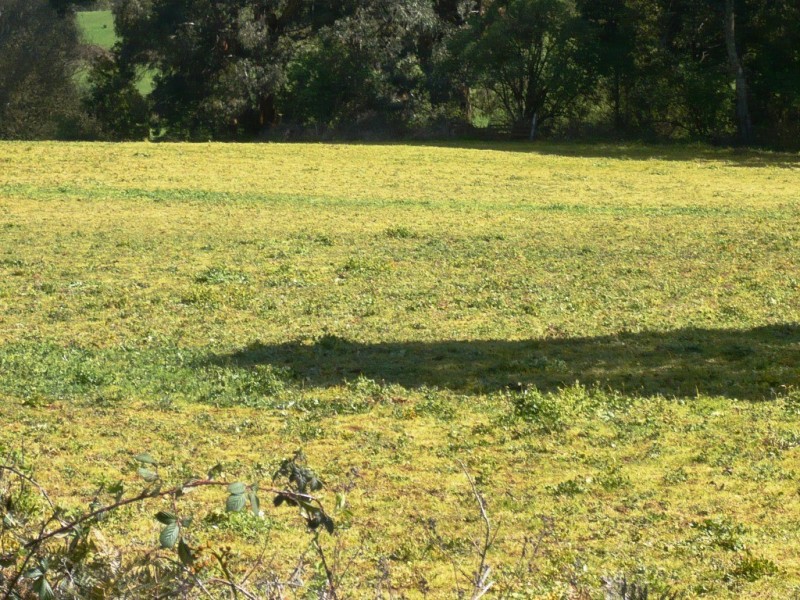 0 Main Road, Blakeville VIC 3342