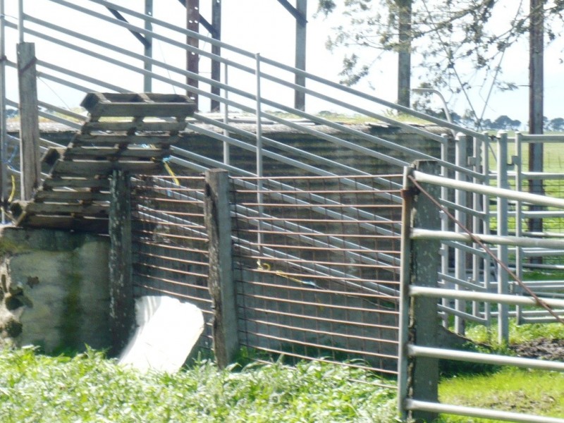 1628 Carngham-Streatham Rd, Mount Emu VIC 3351