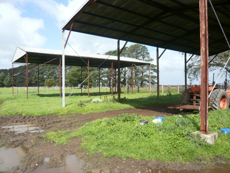 1628 Carngham-Streatham Rd, Mount Emu VIC 3351