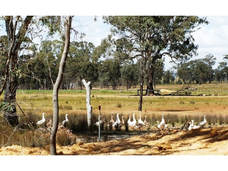 26 Bready’s Lane, Amphitheatre VIC 3468