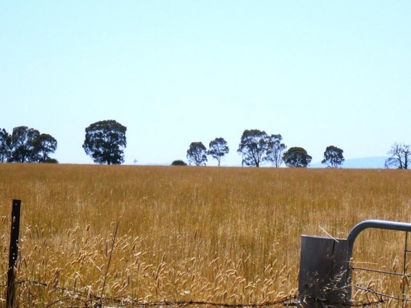 Part  of 1150 Clunes-Mt Cameron Road, Mount Cameron VIC 3370