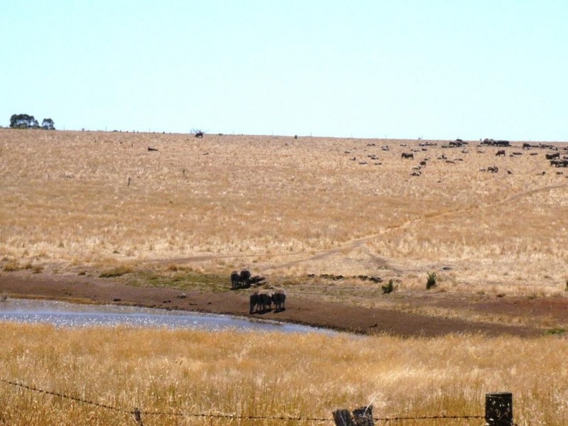 Part  of 1150 Clunes-Mt Cameron Road, Mount Cameron VIC 3370