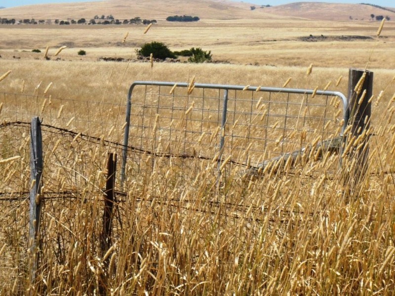 Part  of 1150 Clunes-Mt Cameron Road, Mount Cameron VIC 3370