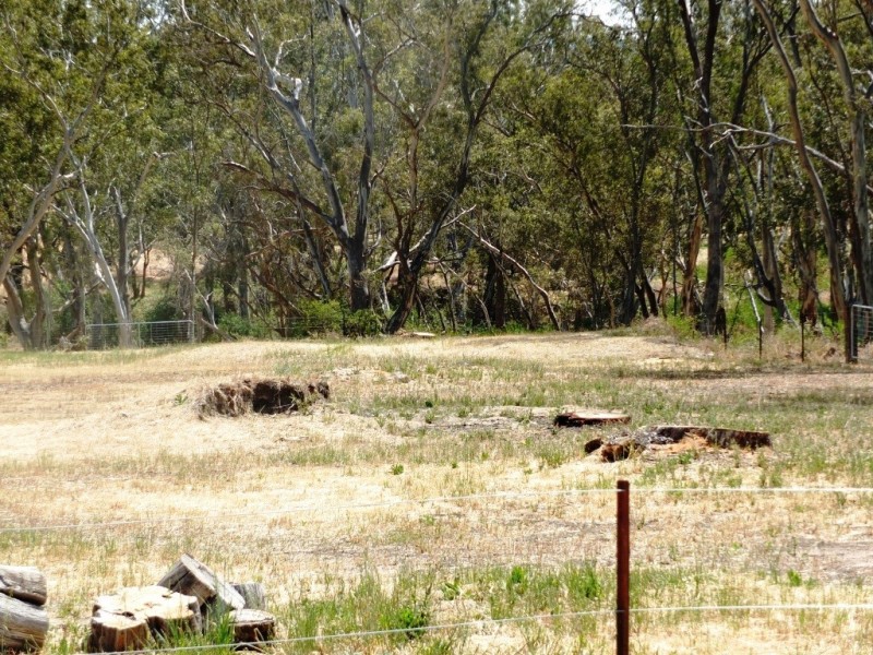 45 High St, Avoca VIC 3467