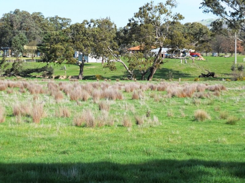 Lot 53 Richards Lane, Amphitheatre VIC 3468