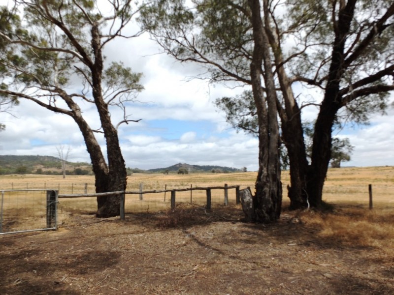 CA 168 Harrisons Back Road, Moonambel VIC 3478