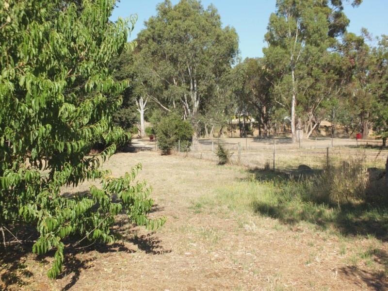 101 High Street, Avoca VIC 3467