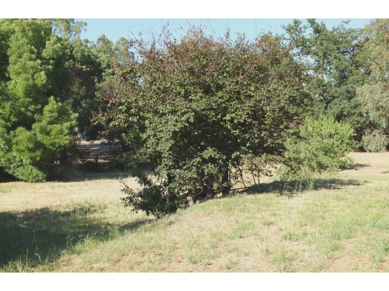 101 High Street, Avoca VIC 3467