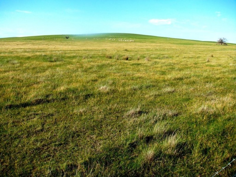 976 Eurambeen-Streatham Road, Beaufort VIC 3373