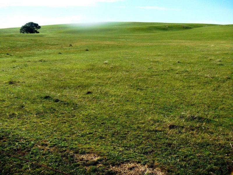 976 Eurambeen-Streatham Road, Beaufort VIC 3373