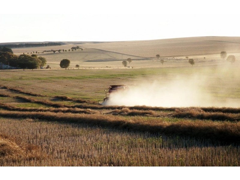 976 Eurambeen-Streatham Road, Beaufort VIC 3373