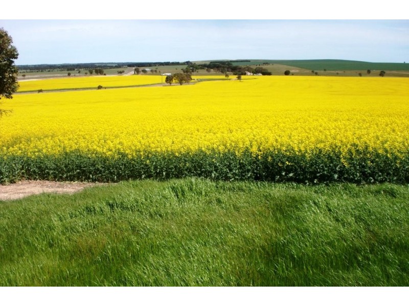 976 Eurambeen-Streatham Road, Beaufort VIC 3373