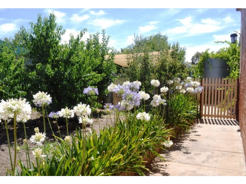 156 High Street, Avoca VIC 3467