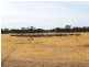290-292 Woodward Road, Dunluce VIC 3472