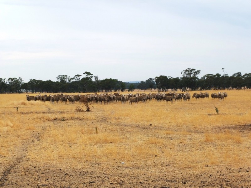 290-292 Woodward Road, Dunluce VIC 3472