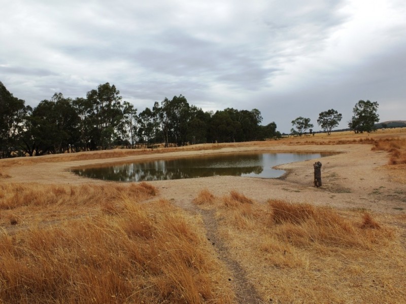 290-292 Woodward Road, Dunluce VIC 3472