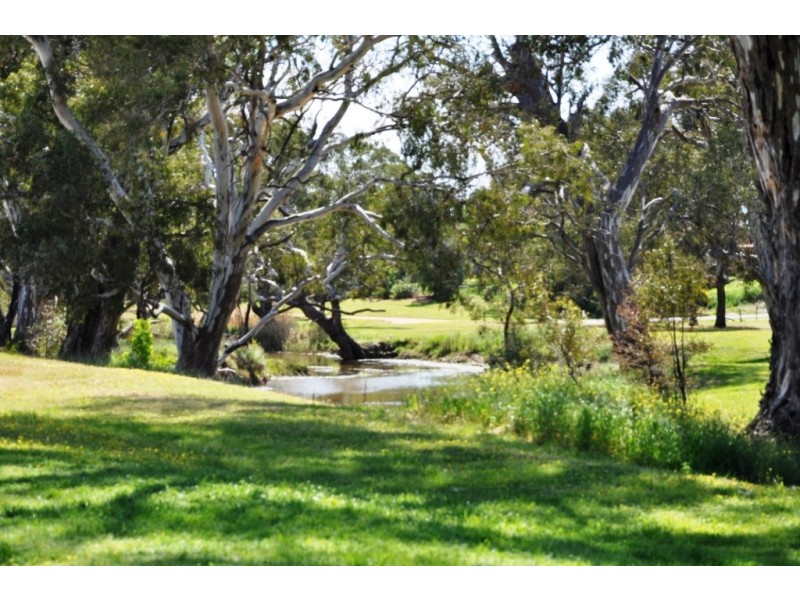 103 High St, Avoca VIC 3467