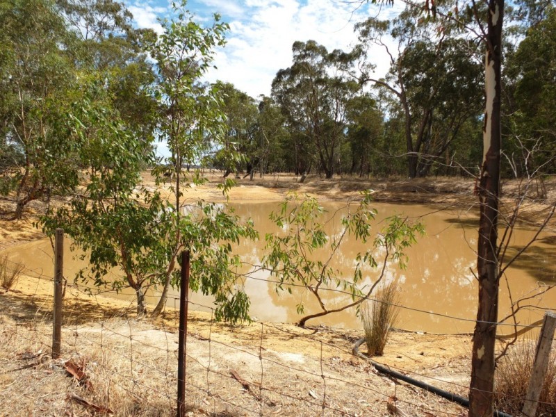 177 Lamplough-Greenhill Creek Road, Amphitheatre VIC 3468