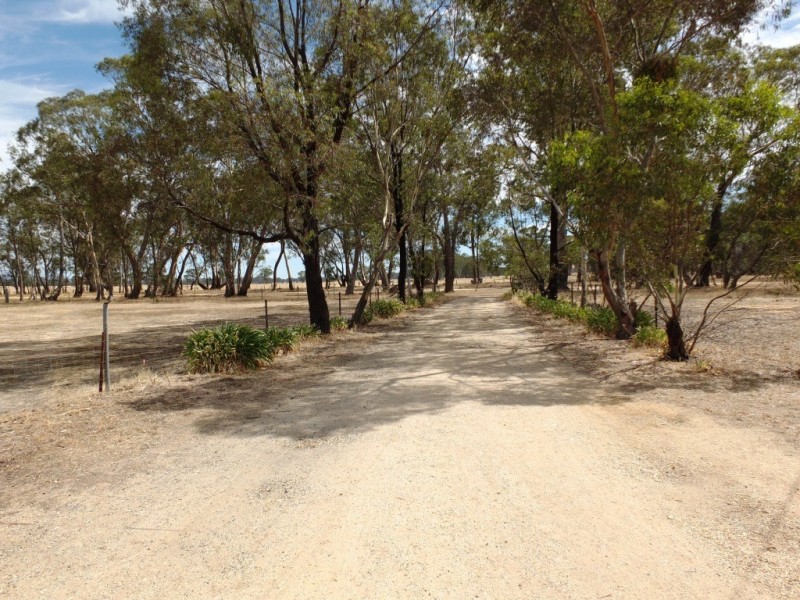 177 Lamplough-Greenhill Creek Road, Amphitheatre VIC 3468