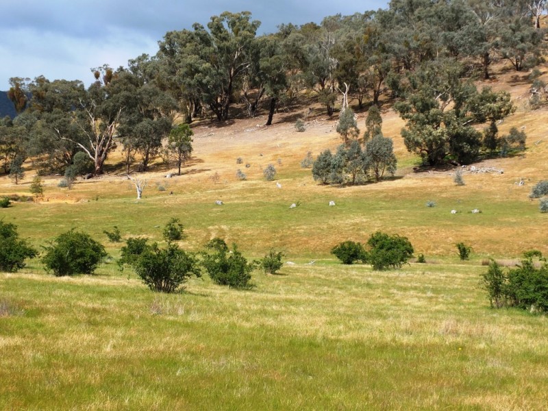 88D and 89D Government Road, Moonambel VIC 3478