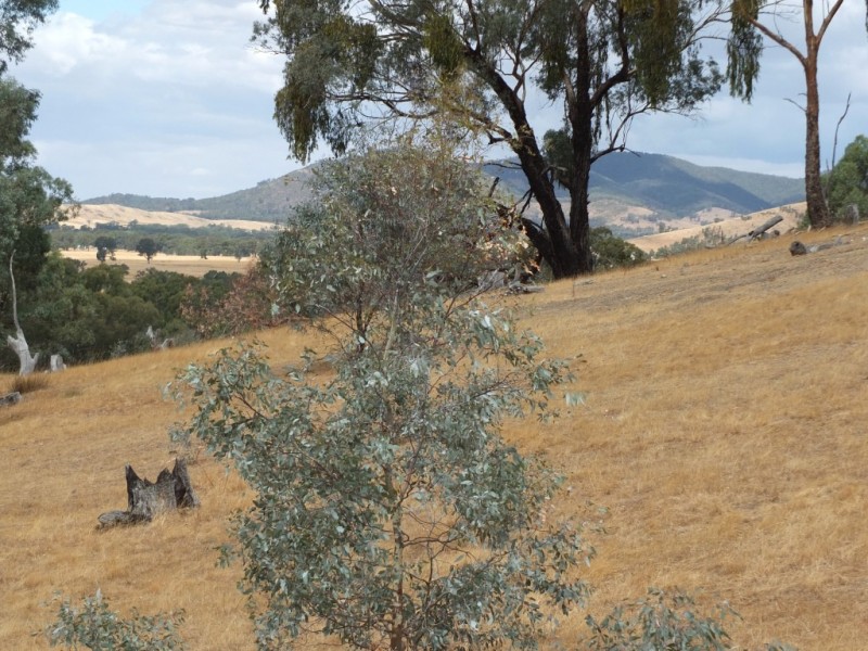 88D and 89D Government Road, Moonambel VIC 3478