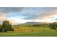 42 Townsing Road, Amphitheatre VIC 3468