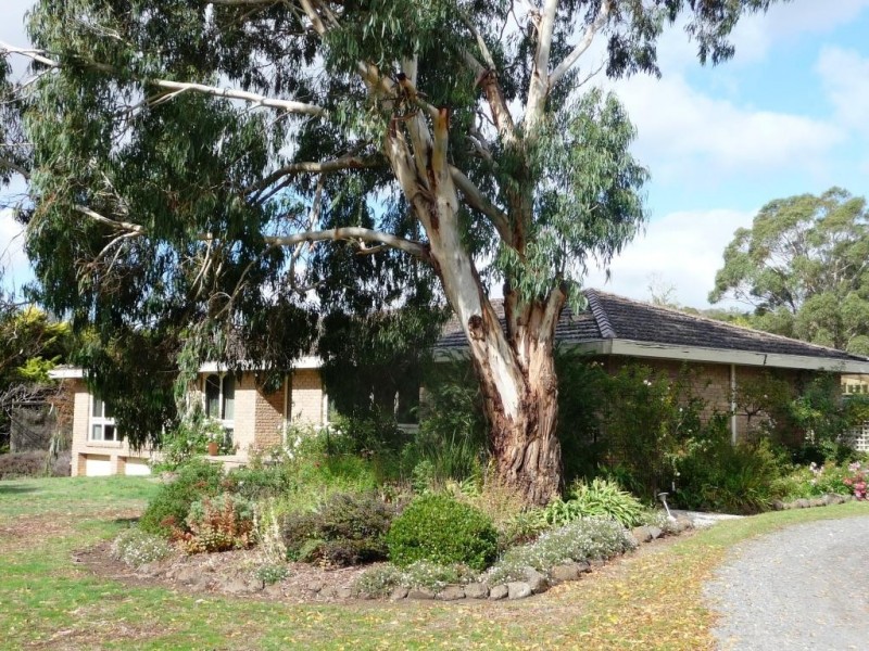 72 High Street, Beaufort VIC 3373