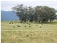 - Sunraysia Highway, Moonambel VIC 3478