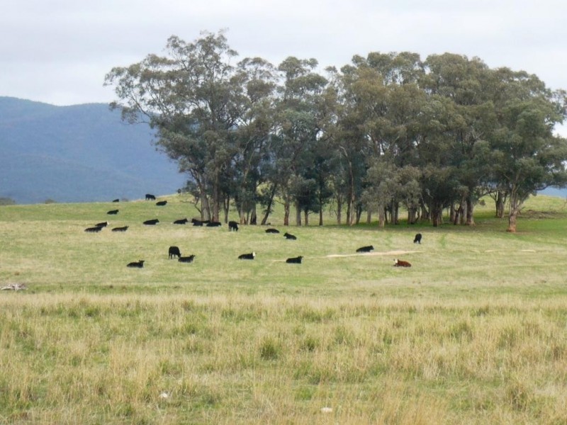 - Sunraysia Highway, Moonambel VIC 3478