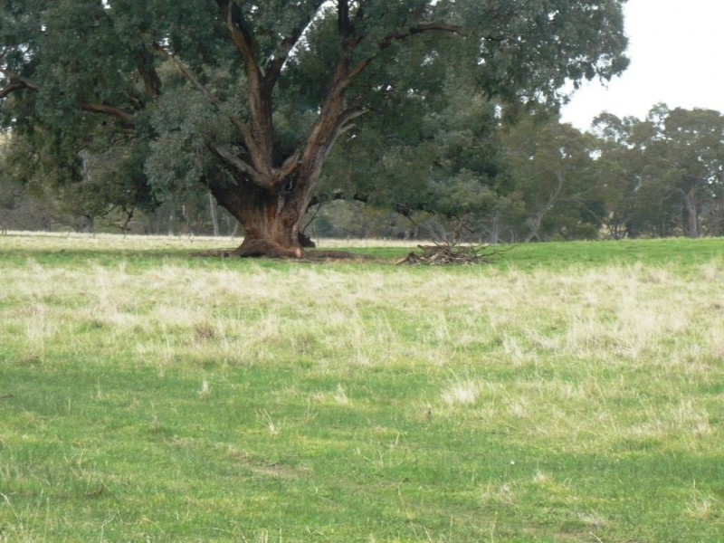 - Sunraysia Highway, Moonambel VIC 3478
