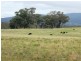 - Sunraysia Highway, Moonambel VIC 3478