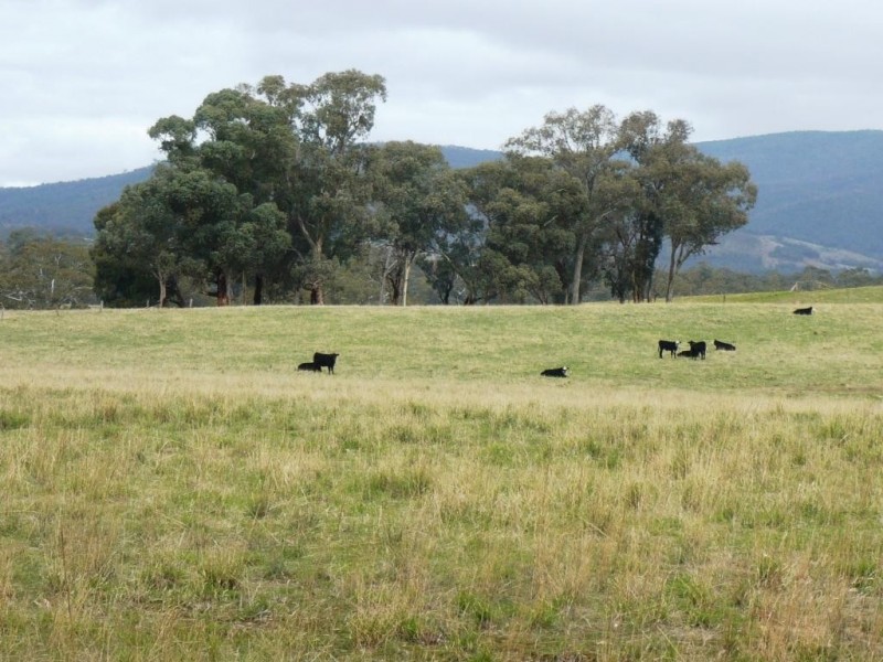 - Sunraysia Highway, Moonambel VIC 3478