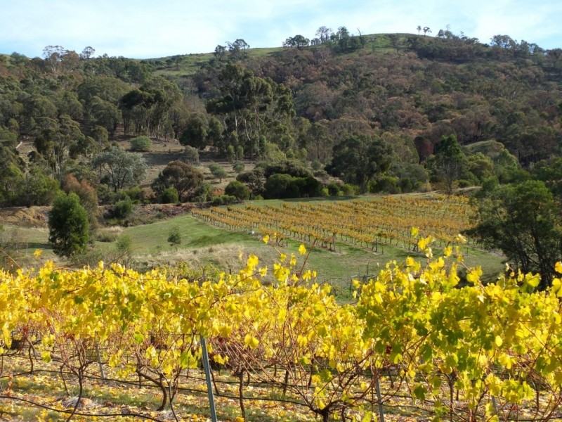 107 McAdams Lane, Moonambel VIC 3478