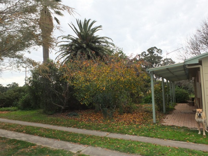 95 Green Street, Elmhurst VIC 3469