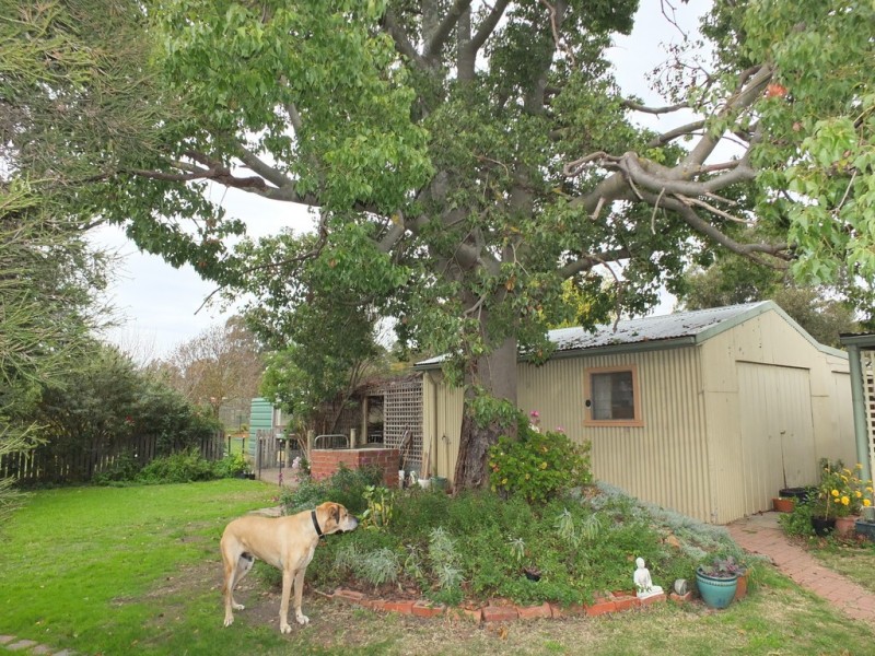 95 Green Street, Elmhurst VIC 3469