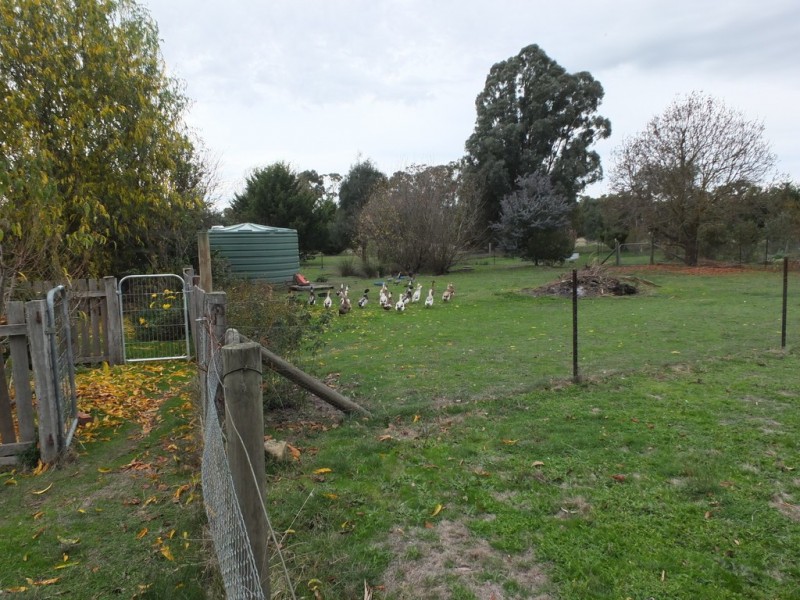 95 Green Street, Elmhurst VIC 3469