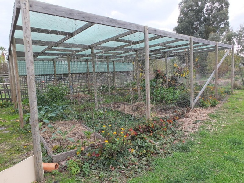 95 Green Street, Elmhurst VIC 3469