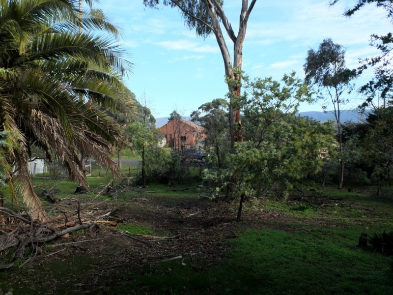 48 Boyce Street, Avoca VIC 3467