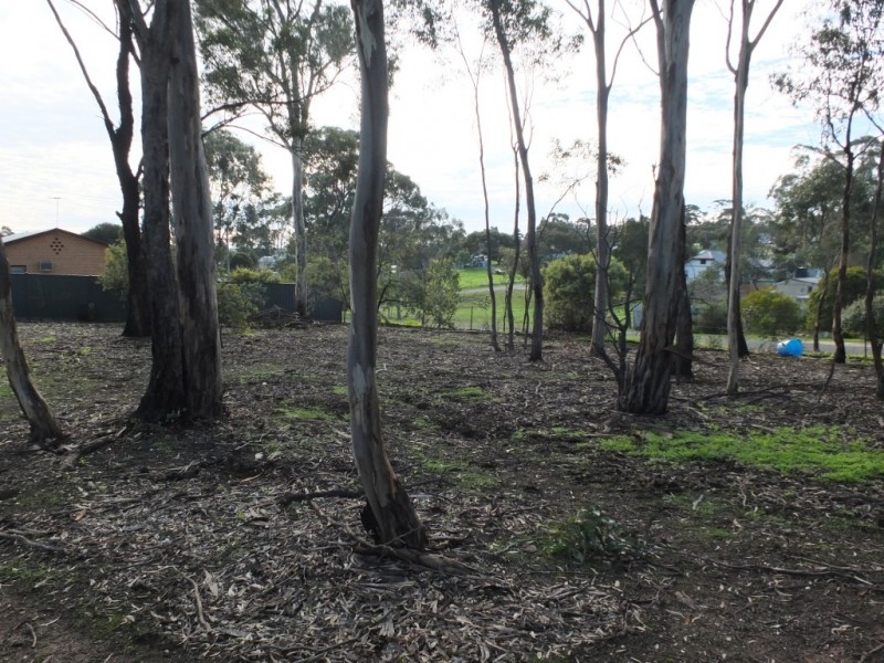 48 Boyce Street, Avoca VIC 3467